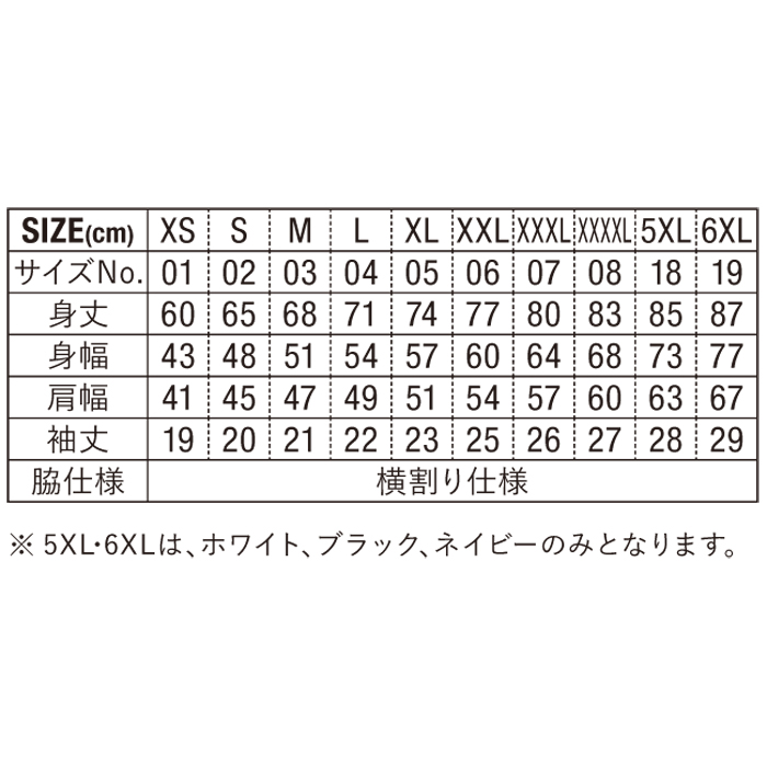 4.1オンス ドライアスレチック ポロシャツ【5910-01】